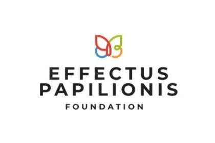 STYPENDIUM FUNDACJI “EFFECTUS PAPILIONIS FOUNDATION”