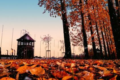 SEMINARIUM NAUKOWE W PAŃSTWOWYM MUZEUM AUSCHWITZ-BIRKENAU 