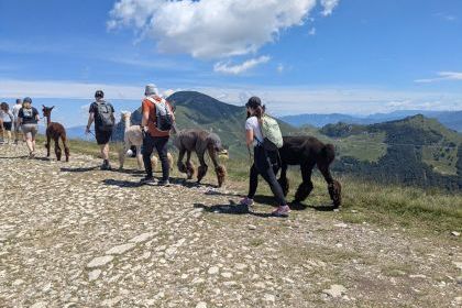 ALPEJSKA TRASA MŁODYCH ODKRYWC&Oacute;W 