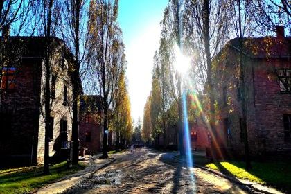 SEMINARIUM NAUKOWE W PAŃSTWOWYM MUZEUM AUSCHWITZ-BIRKENAU 