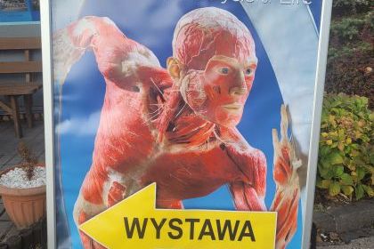 Wystawa Body Worlds w Katowicach 