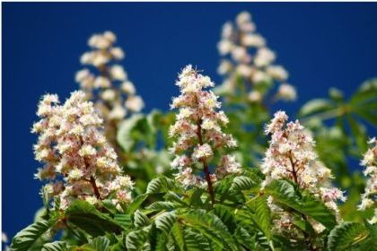 POŻEGNANIE KLAS MATURALNYCH 2026