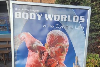 Wystawa Body Worlds w Katowicach