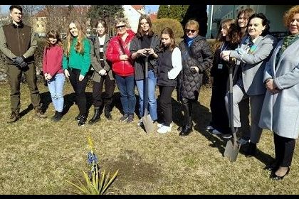 Licealiści z Opola posadzili "Dąb Pokoju". "Będzie symbolem przez lata"